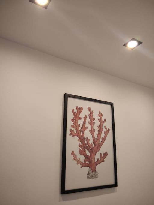 Dimora Cutelli Appartement Catánia Buitenkant foto